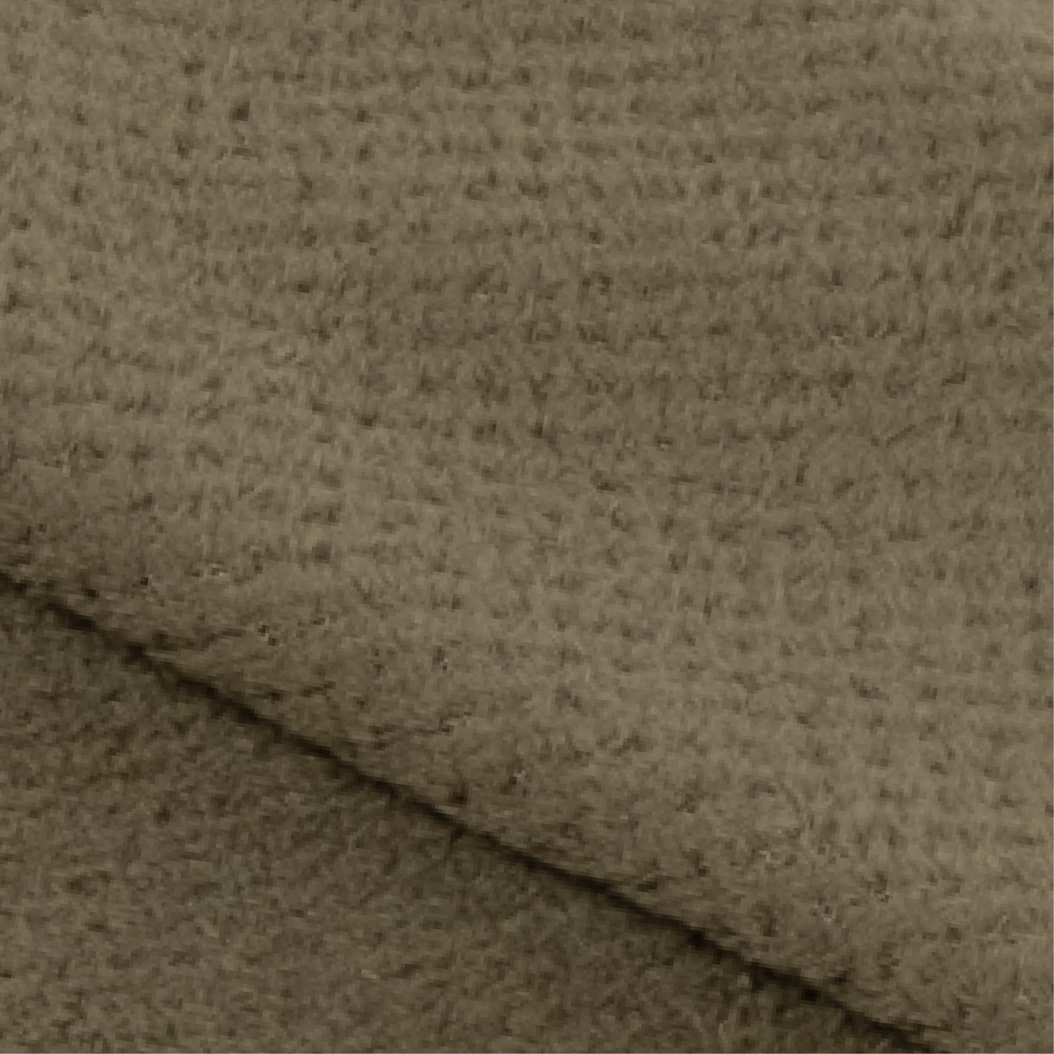 ﾀﾞｽﾃｨｵﾘｰﾌﾞ