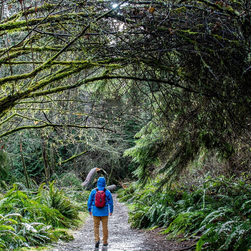 ﾊﾞｰｶﾞﾝﾃﾞｨｰ