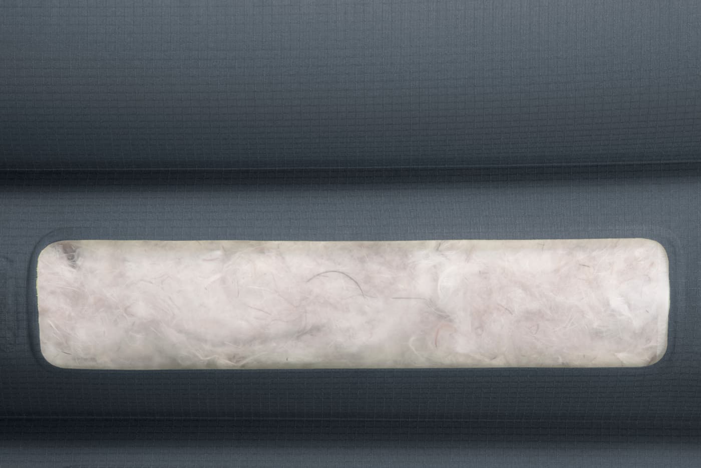 ｸﾞﾚｲｸﾞｰｽ