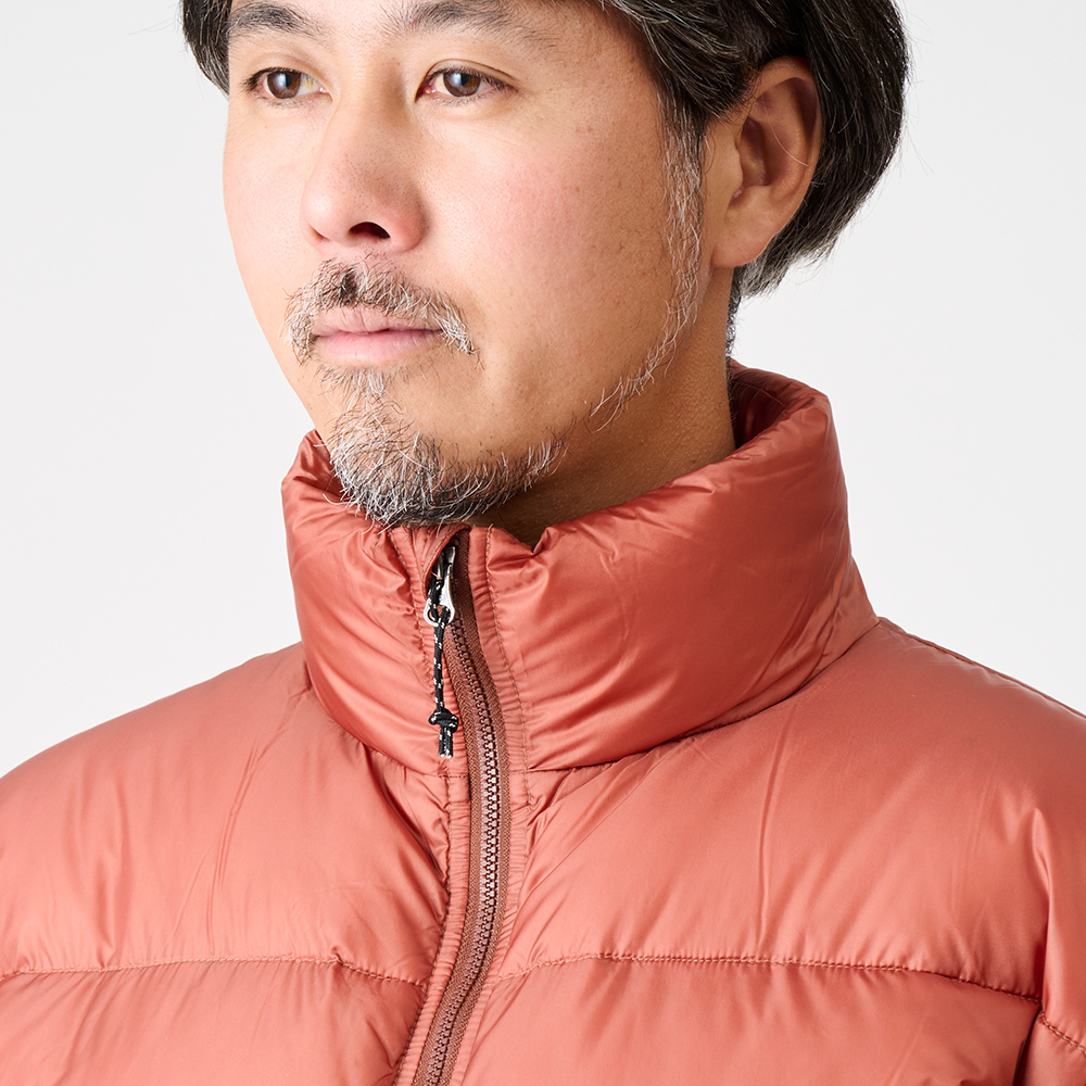 ﾊﾞｰﾝﾄﾌﾞﾘｯｸ