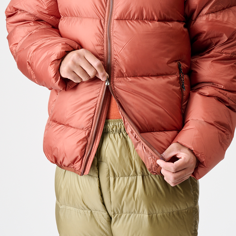 ﾊﾞｰﾝﾄﾌﾞﾘｯｸ